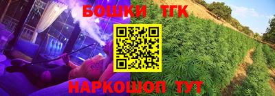 ALPHA PVP Гатчина