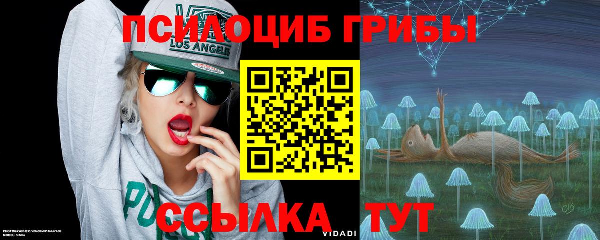 Псилоцибиновые грибы MAGIC MUSHROOMS Губкин