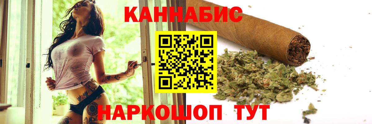 Каннабис индика Губкин